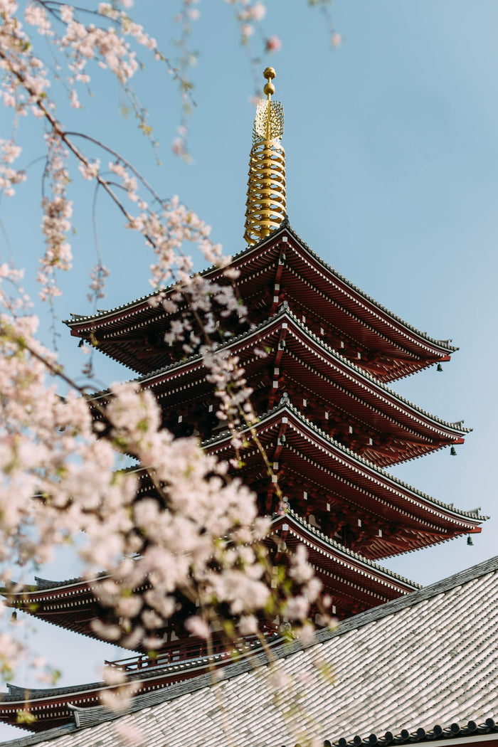 Japanese