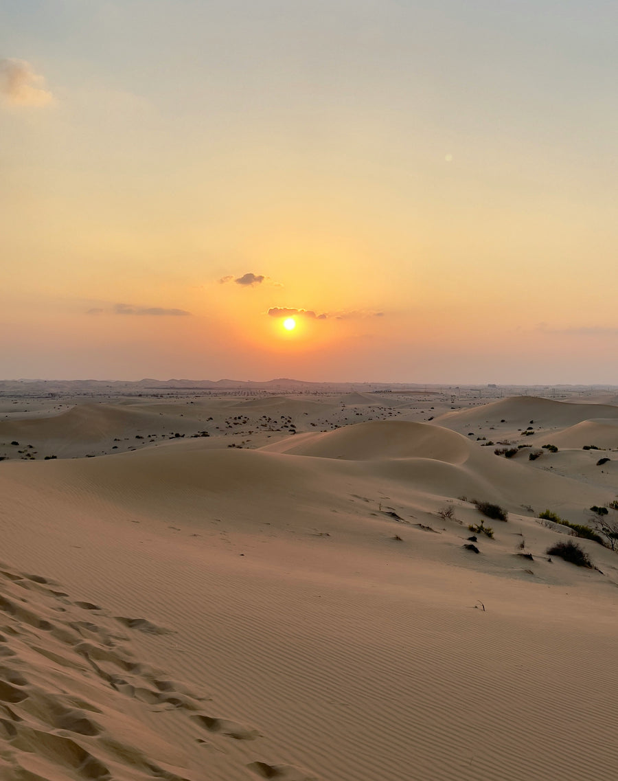 Al-Wasl